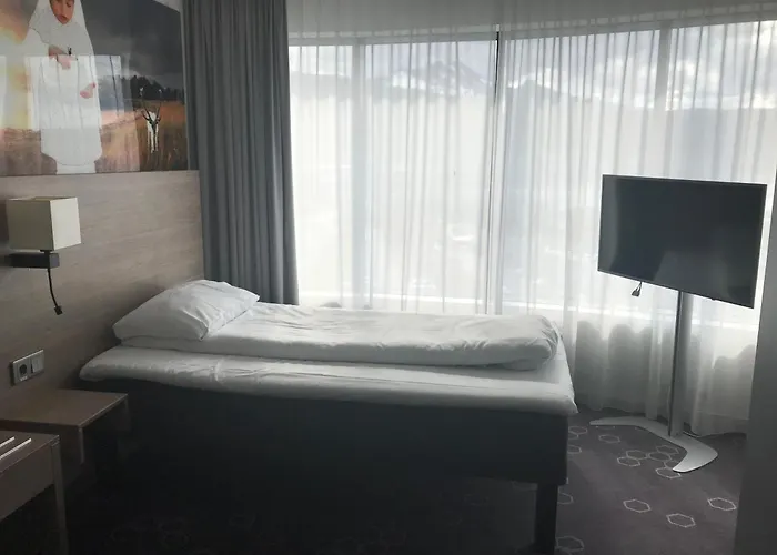 酒店 纳尔维克斯堪迪克酒店 4*