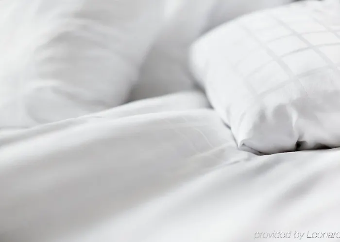 纳尔维克斯堪迪克酒店 酒店 4*